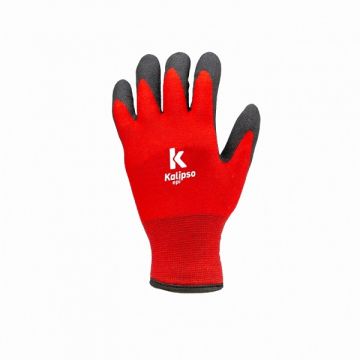 Luva antartida Tam 11 EGG CA43750 kalipso