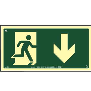 Placa saída fotoluminescente com seta para baixo 15X30cm