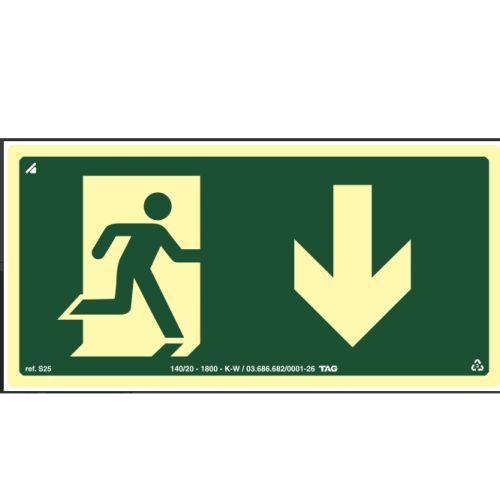 Placa saída fotoluminescente com seta para baixo 15X30cm S24-B